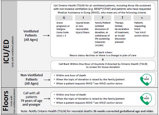 graphic about TGLN process